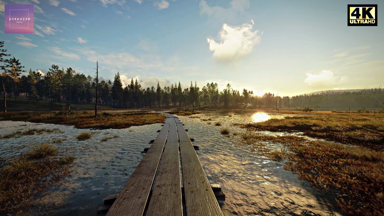 Virtual Nature Walk in Finland | theHunter: Call of the Wild | Video Game Ambience for Study & Work