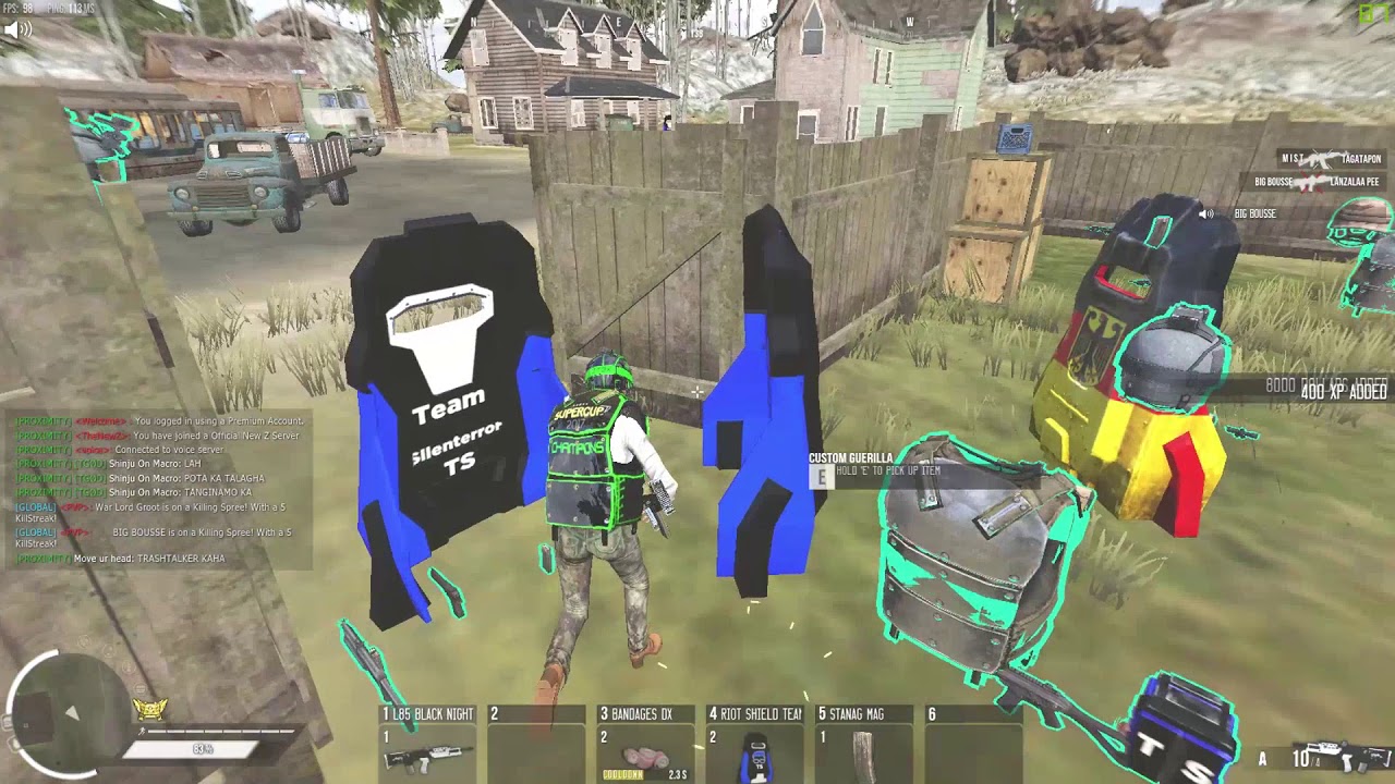 NewZ Montage 24