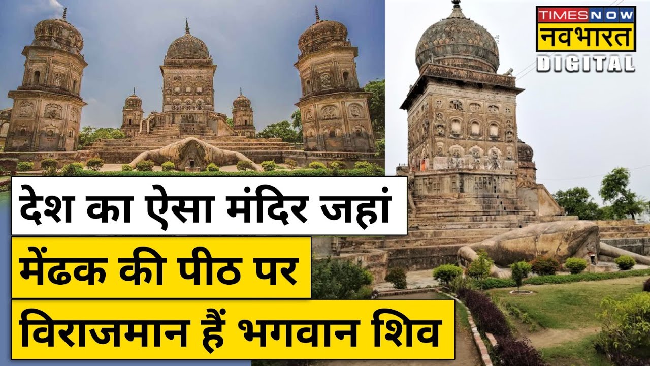 Hindu Temple In UP: ऐसा मंदिर जहां मेंढक की पीठ पर विराजमान हैं भगवान Shiv