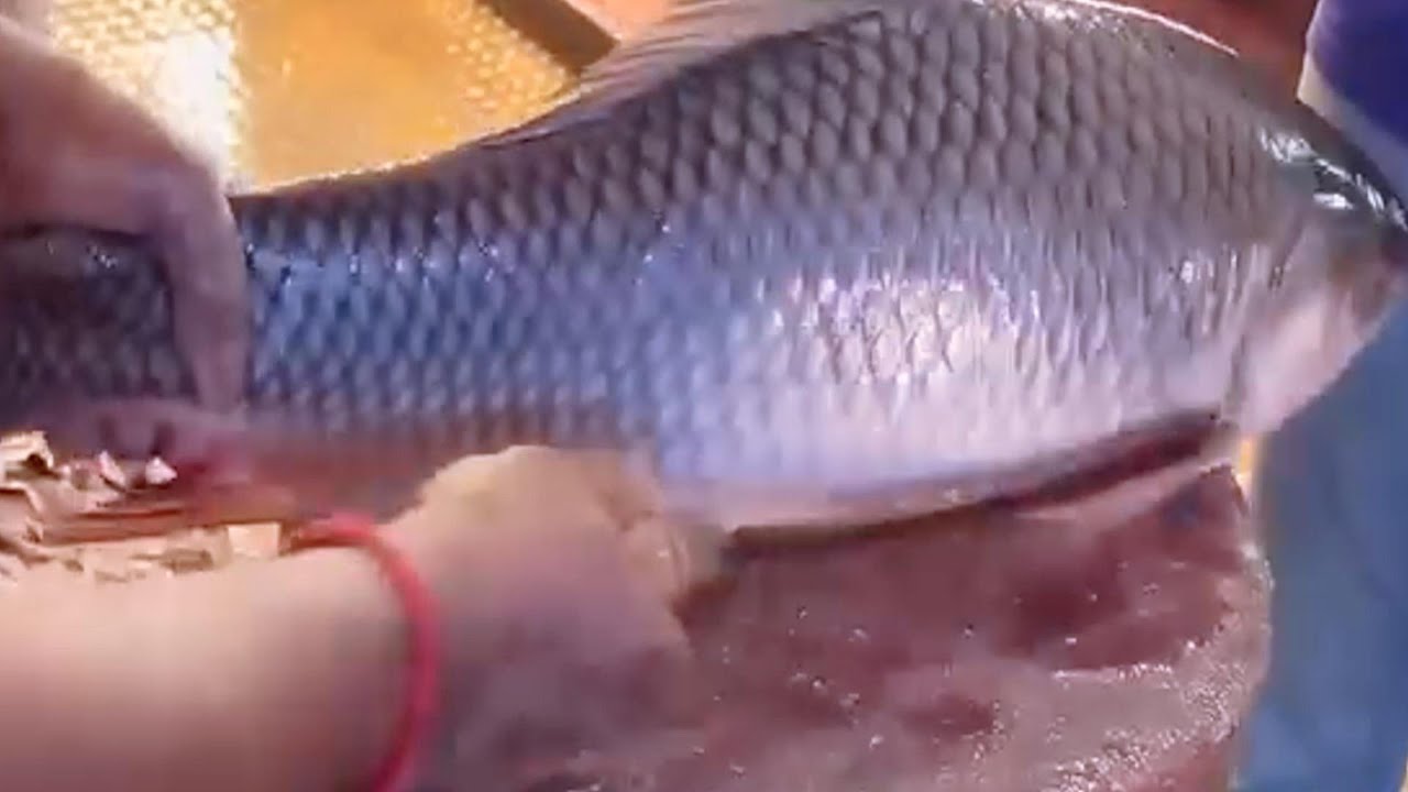 Giant Fish Amazing Cutting Skills II Munzur Fish Vlog