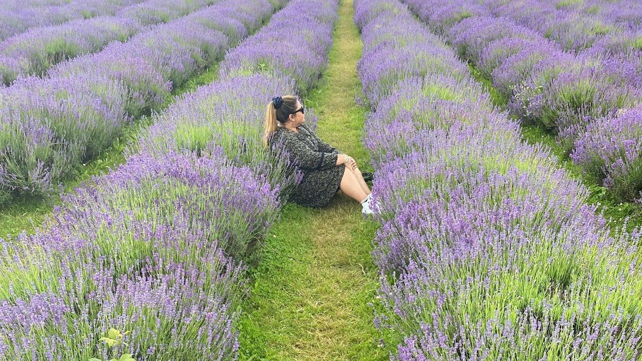 PINAY WIFE IN THE UK || STROLLING AROUND LAVENDER FARM 
