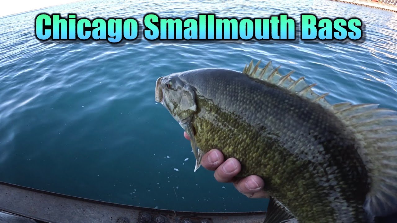 Chicago Smallmouth Bass Fishing Prespawn April 2025