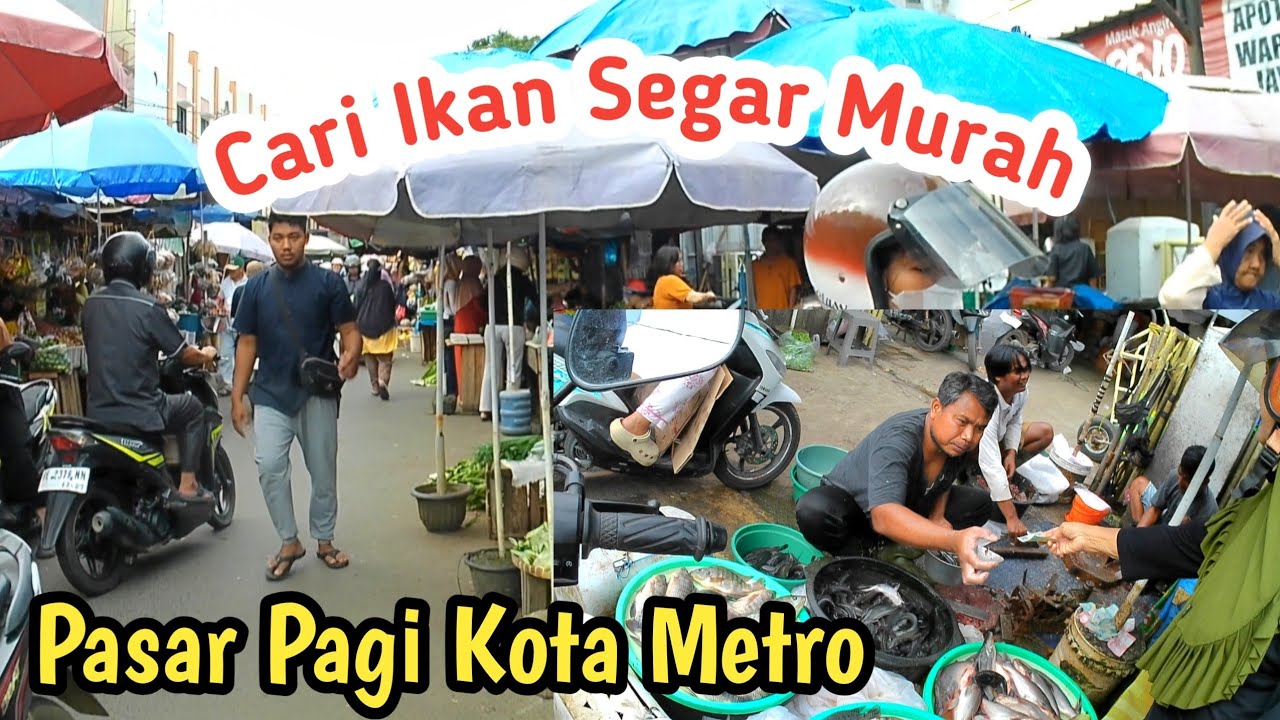 Suasana Pasar Pagi Pingled Metro - Beli Ikan ...