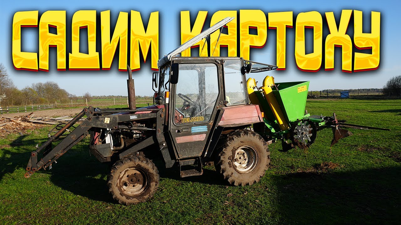 Садим картофель в апреле 2024