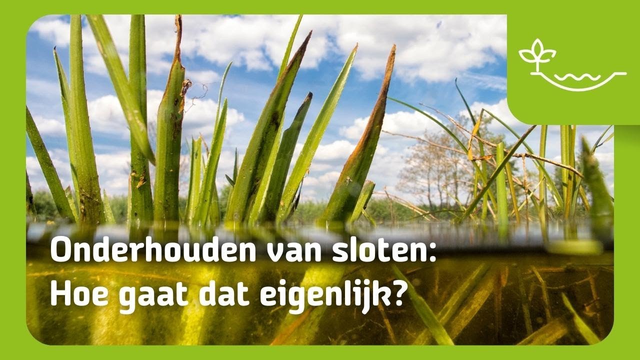 Onderhouden van sloten: Hoe gaat dat eigenlijk?