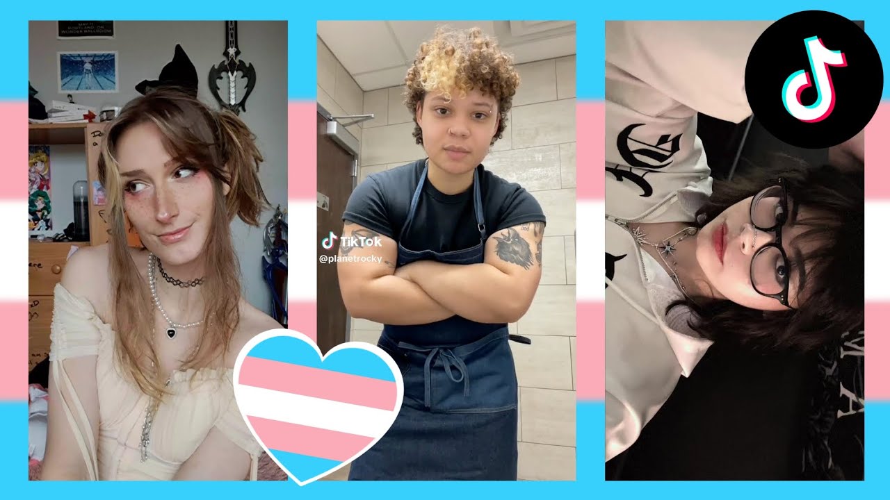 Trans TikToks Compilation #24