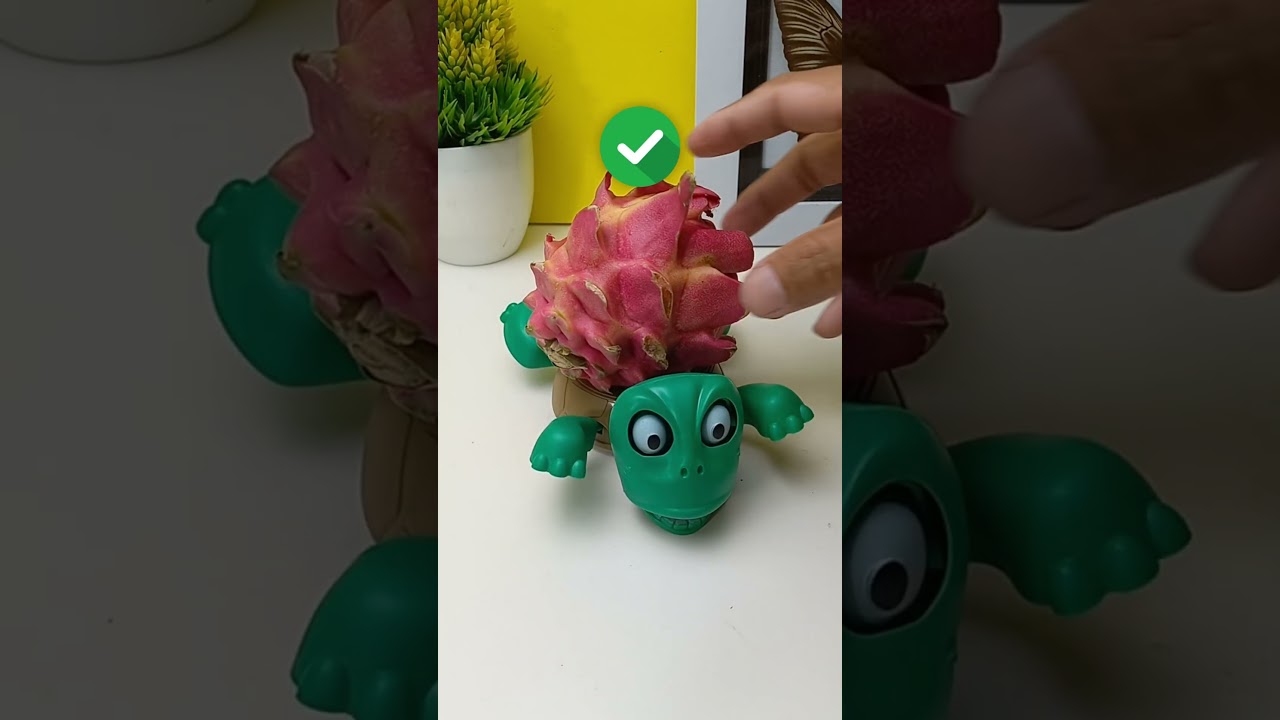 Cute adorable turtles - Turtle coaster 