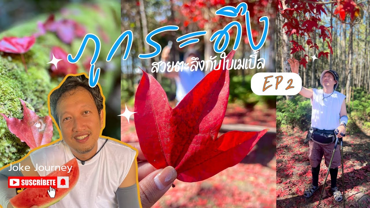 JOKE JOURNEY I รีวิวภูกระดึง2568 EP2 แบบเรียบง่าย สบายๆ