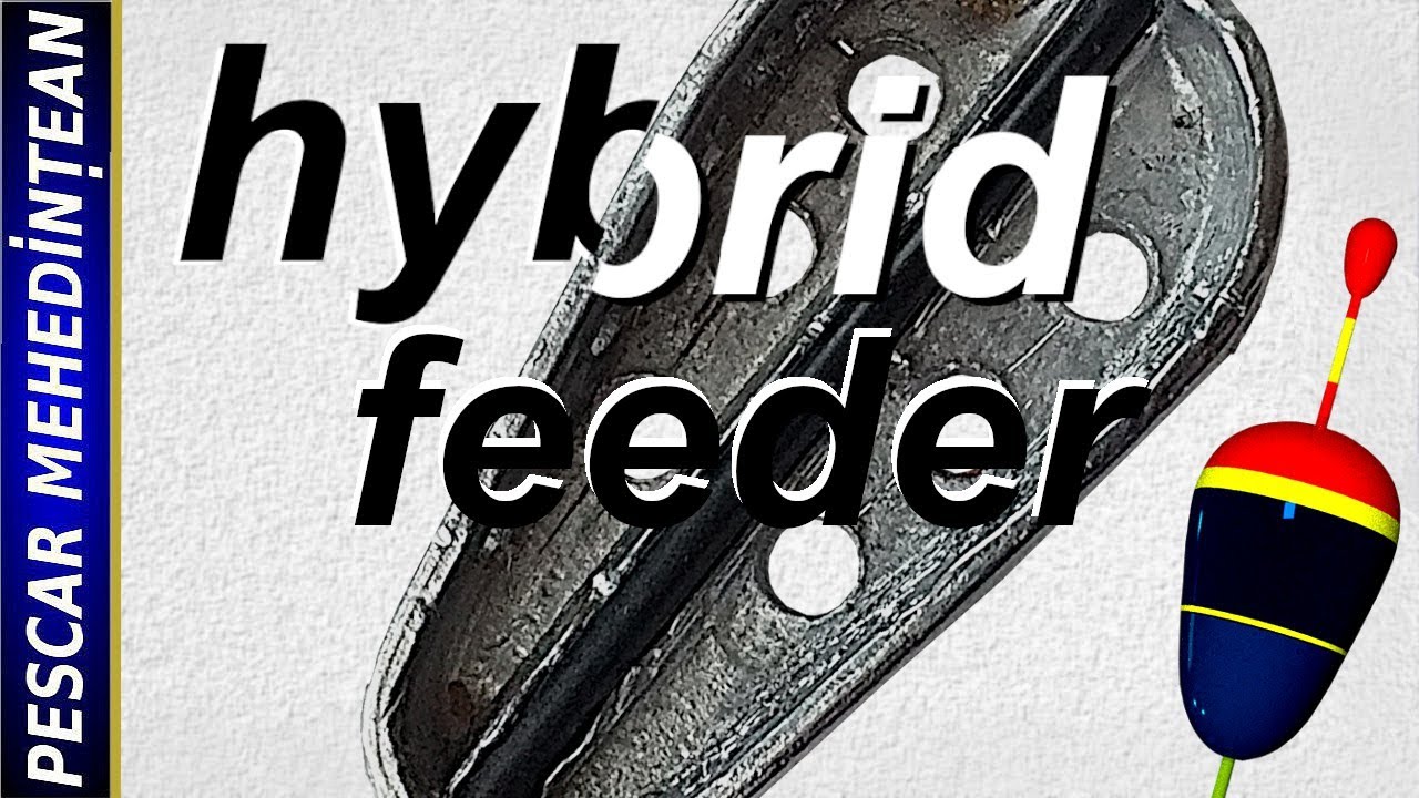 Hybrid feeder