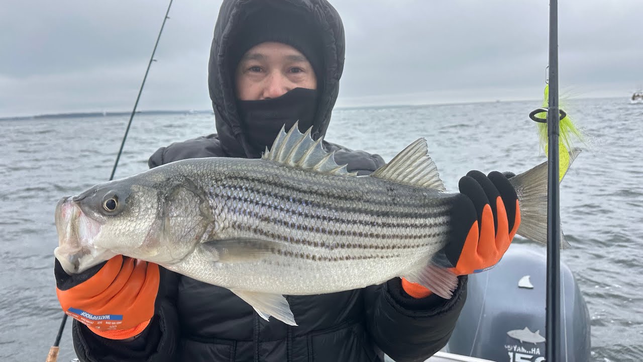 Chesapeake Bay Winter fishing for Rockfish