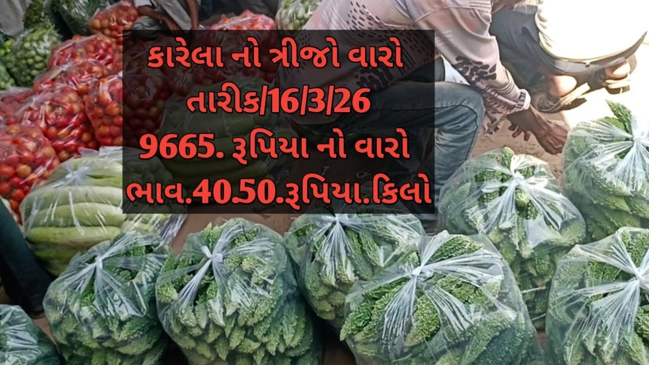 કારેલા ની ખેતી કેવી રીતે કરવી જોઈએ ||करेला की खेती कैसे करें||Karela ki kheti kese kare||
