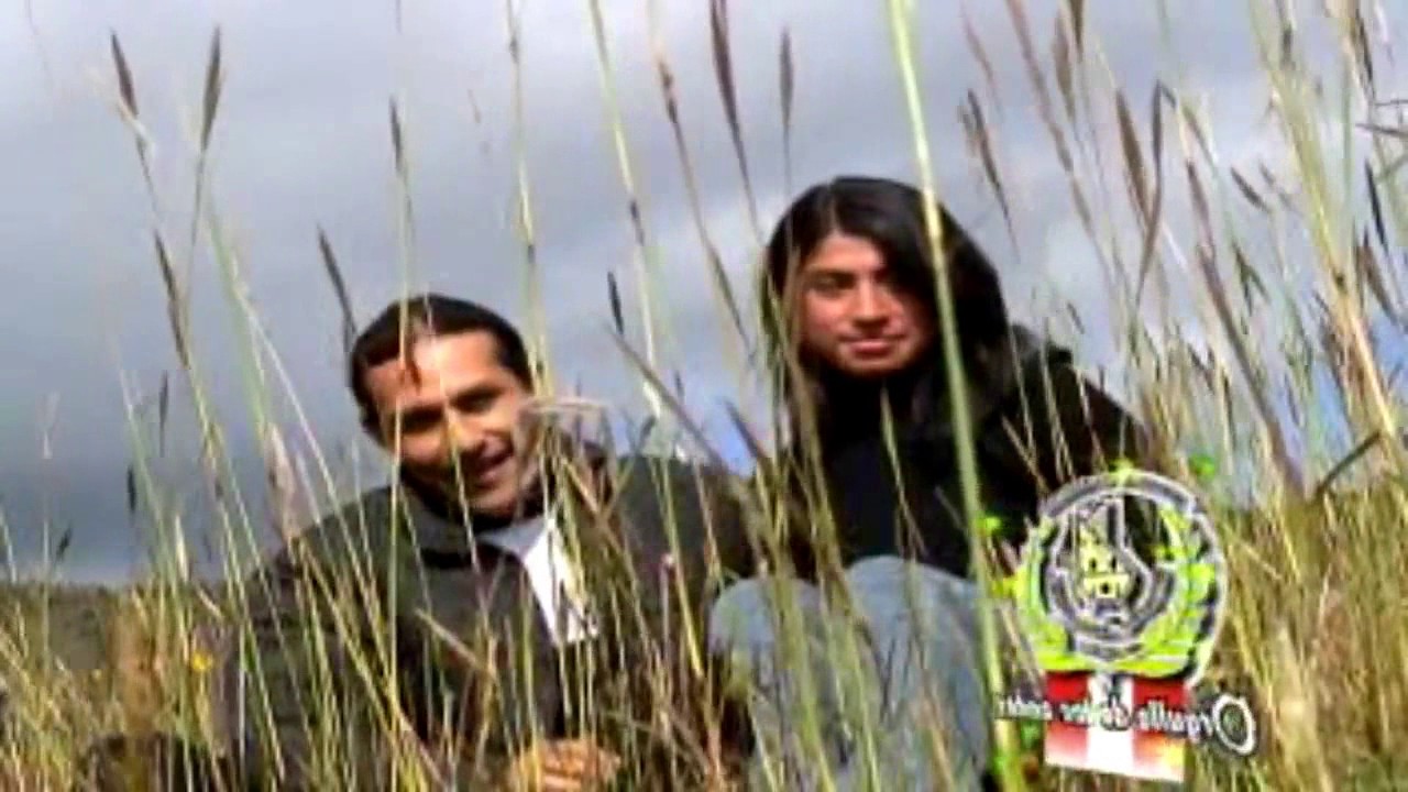 Milder Oré - Inocente Palomita / Arpa - Éxitos de Oro