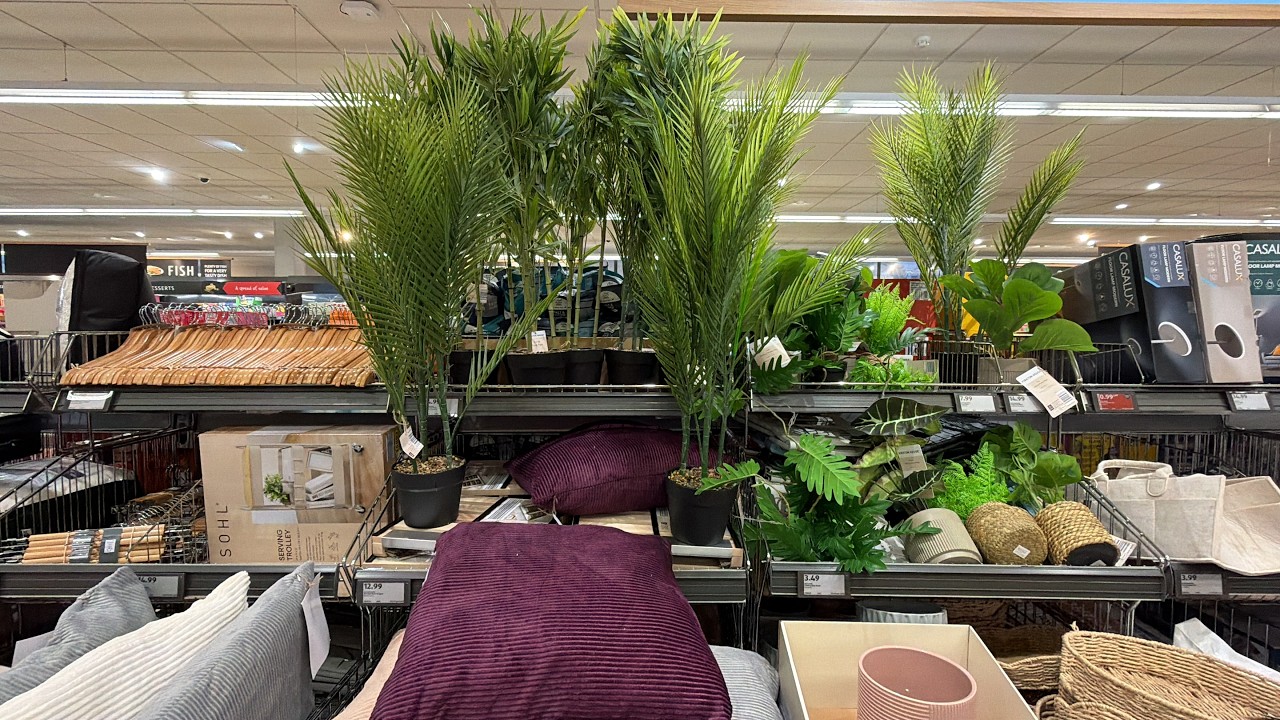 Aldi Arrivals - What's New - 2026 February 6th