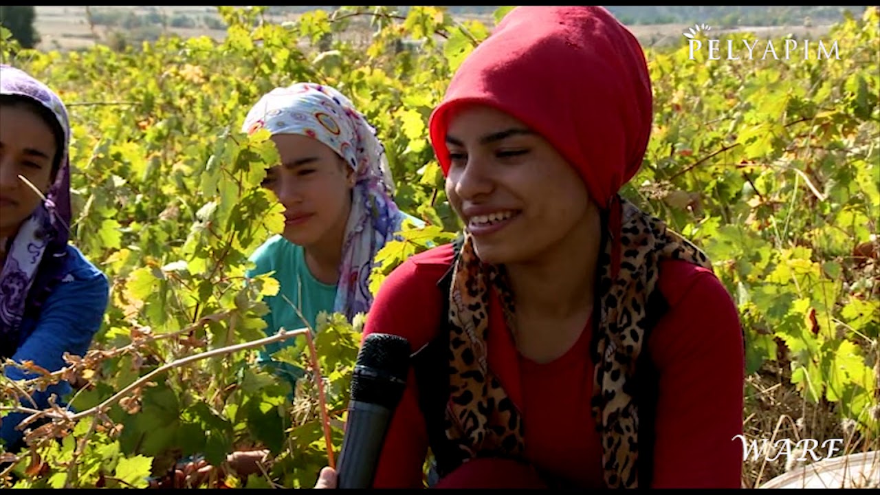 WARE AMED LİCE PEÇAR