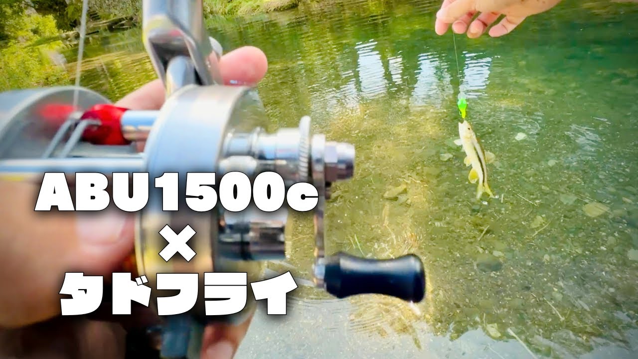 増水後の川をタドフライ&ABU1500cで攻略！【チャビング#31】