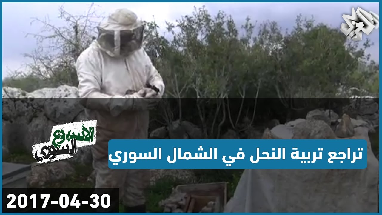 الأسبوع السوري│تراجع تربية النحل وانتاج العسل في الشمال السوري