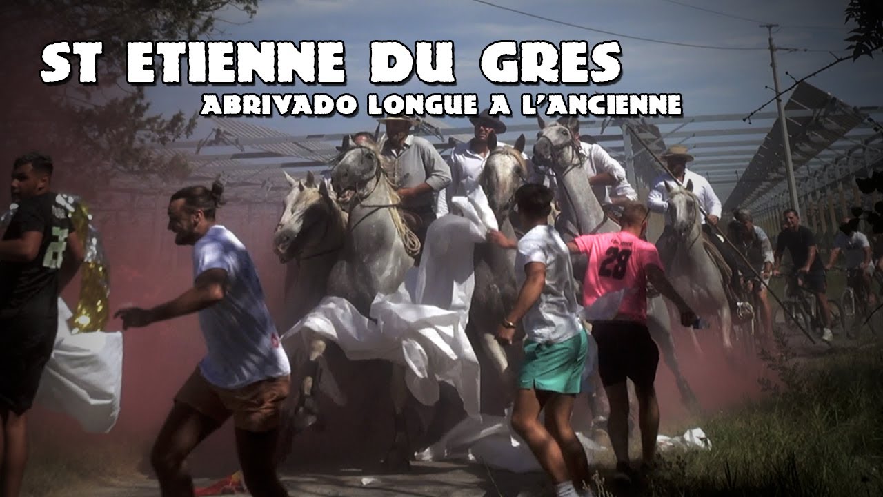 ST ETIENNE DU GRES Abrivado Longue à l'Ancienne 15-08-2023 🐴
