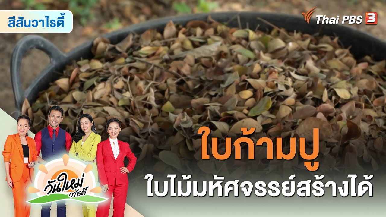 ใบก้ามปู ใบไม้มหัศจรรย์สร้างได้ | สีสันวาไรตี้ | วันใหม่วาไรตี้