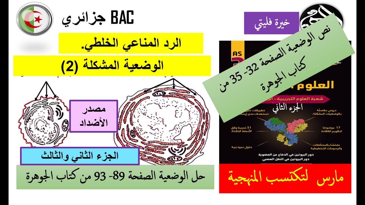 حل الجزء الثاني والثالث من وضعية مصدر الأضداد