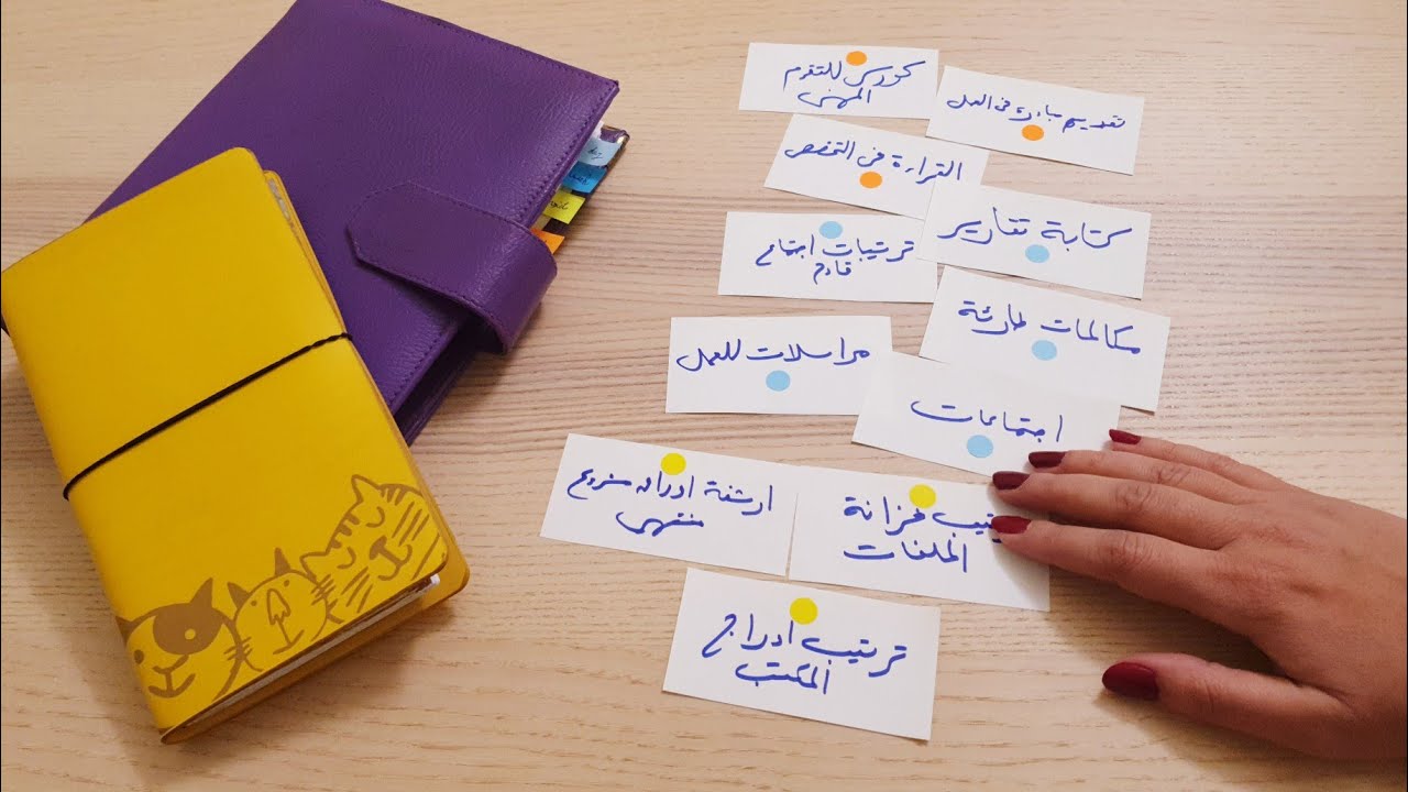 نظامي لتطوير مستقبلي المهني رغم الضغوط