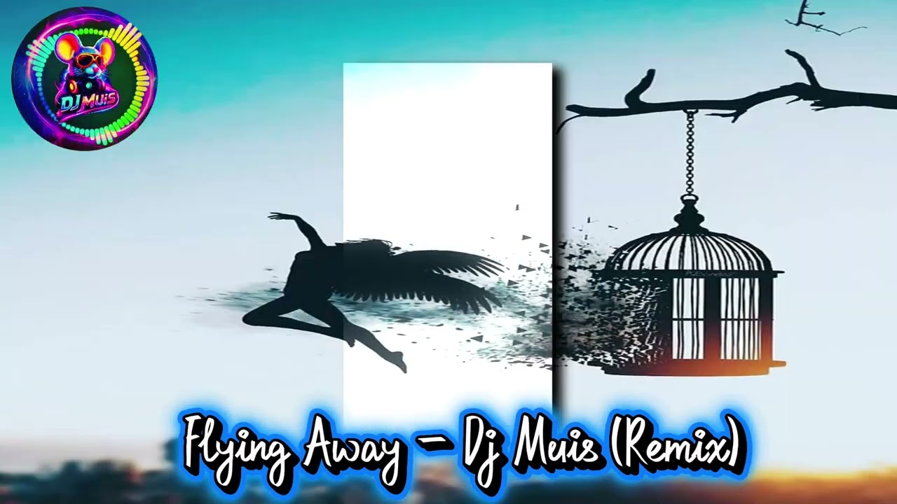 Flying Away - Dj Muis (Remix)
