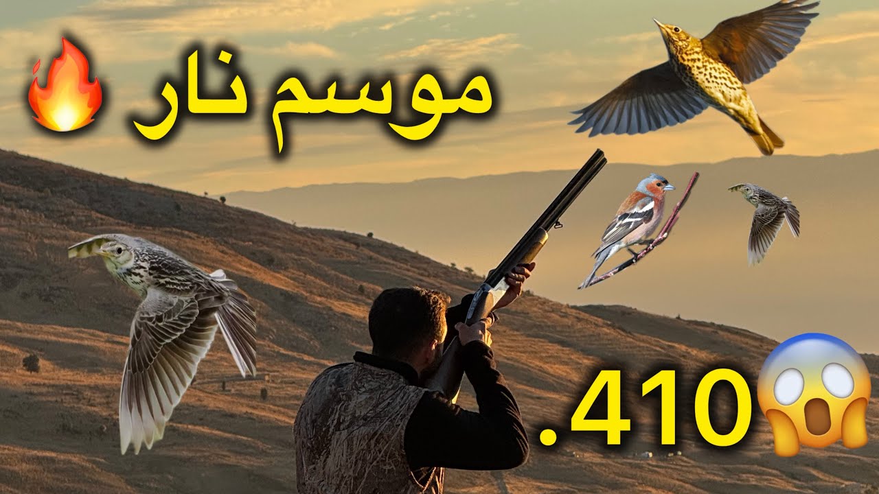 موسم نار 🔥 صيد سمن مطوق صلنج عيار ٢٠ و ١٢ رفيع 410