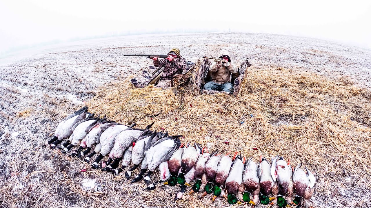 FROSTY ALBERTA WHEAT FIELD DUCK HUNT!