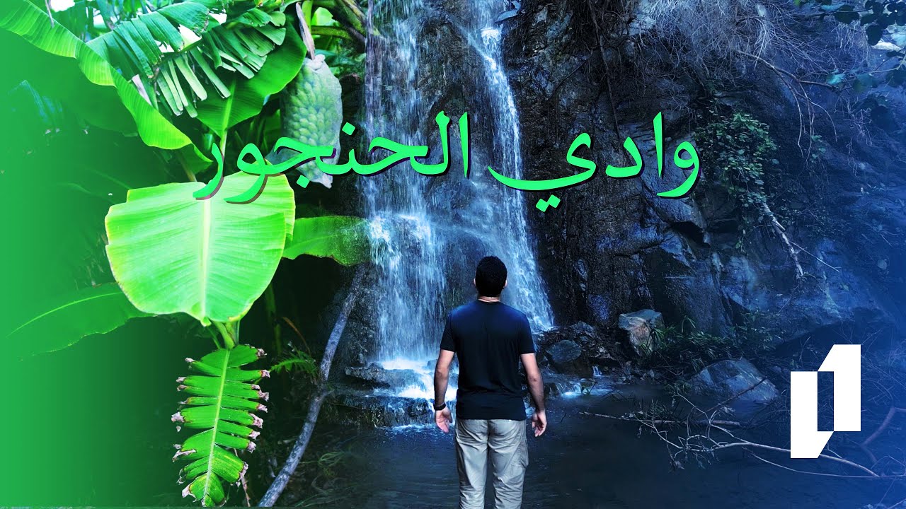 وادي الحنجور 11 - 6 - 1444 هـ
