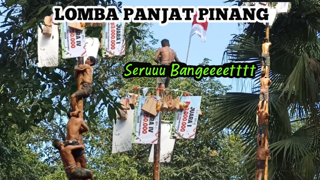 LOMBA PANJAT PINANG di PENDOPO ALUN ALUN TRENGGALEK || HARI JADI KOTA TRENGGALEK ke 830