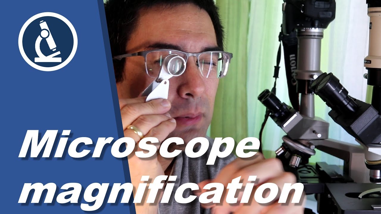 🔬 071 - What is Microscope MAGNIFICATION?  | Microscopy