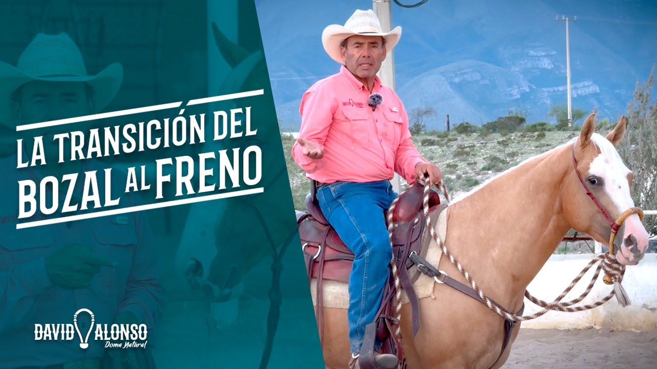 La transición del Bozal al Freno