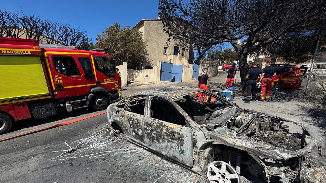 Incendies à Marseille : les habitants inquiets face à une répétition des feux