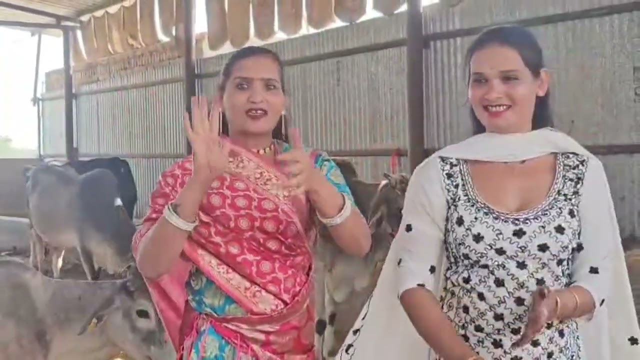 श्री विनोद गुरुजी व गुरु मां के सानिध्य में श्री मंगलमुखी किन्नर समाज नारनौल की गौसेवा 11 मार्च 2026