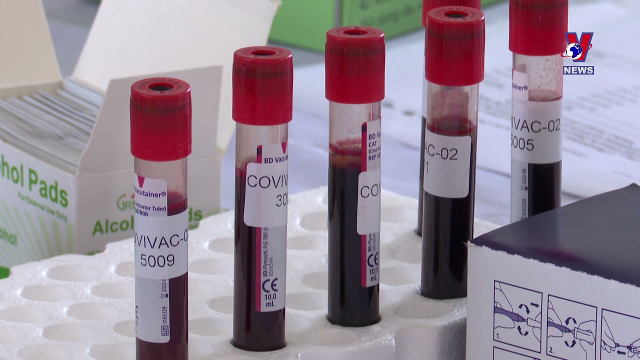 Covivac vaccine given to volunteers in 2nd phase clinical trials