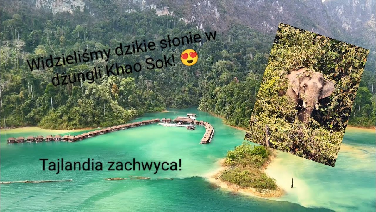Tajlandia Khao Sok- Dzikie słonie, noc w cudnych domkach na jeziorze Cheow Lan #khaosok #elephant 