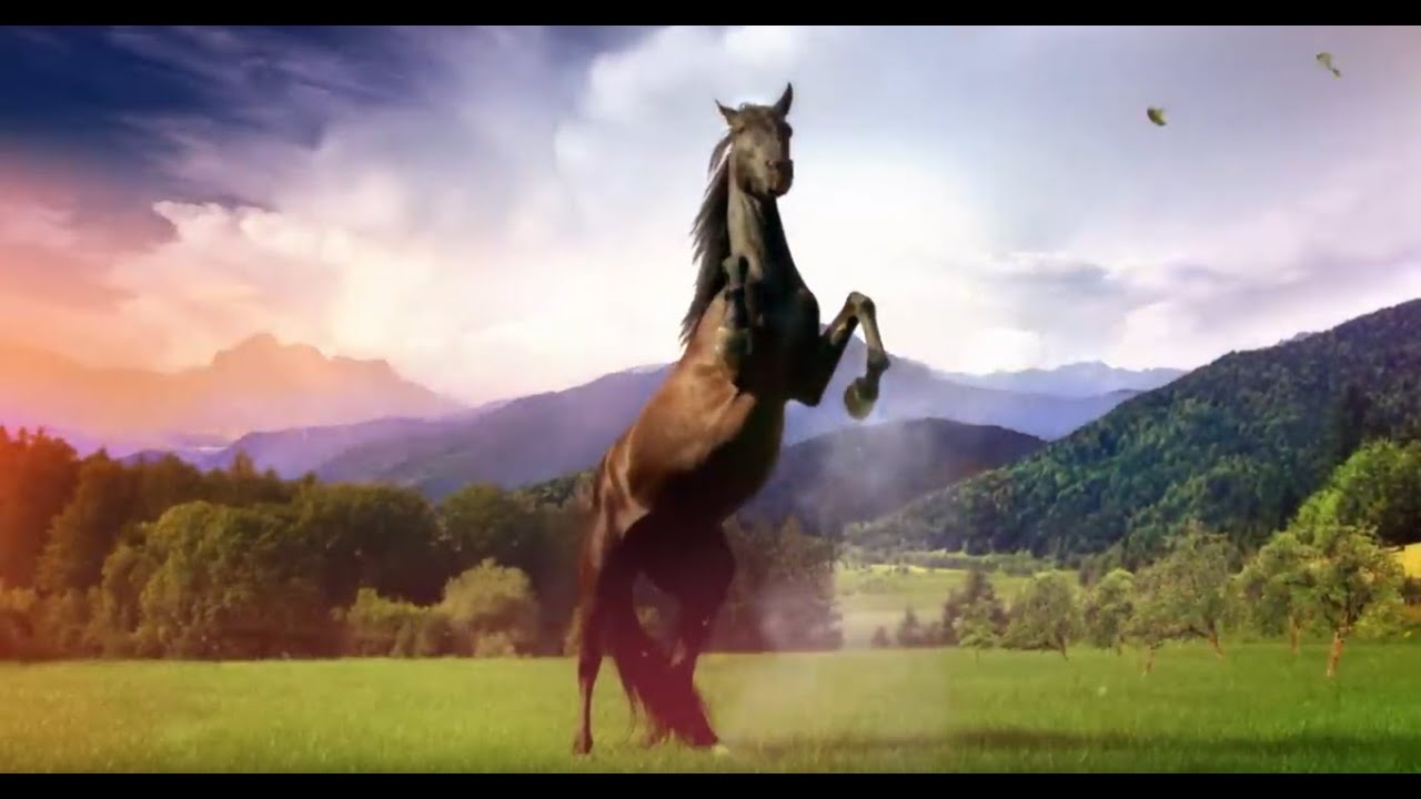 Sturm der Liebe - Vorspann Mix - Staffel 15 & 16