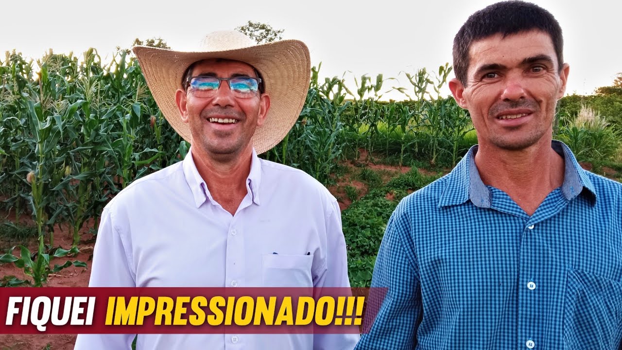 Veja como um AGRONOMO usa a CINZA em suas PLANTAÇÕES!