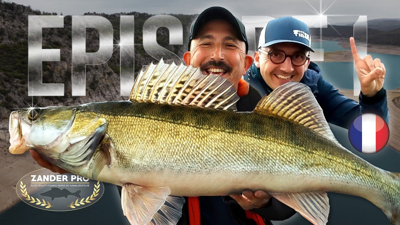 ZANDER PRO 3 - Épisode 1 (version française)