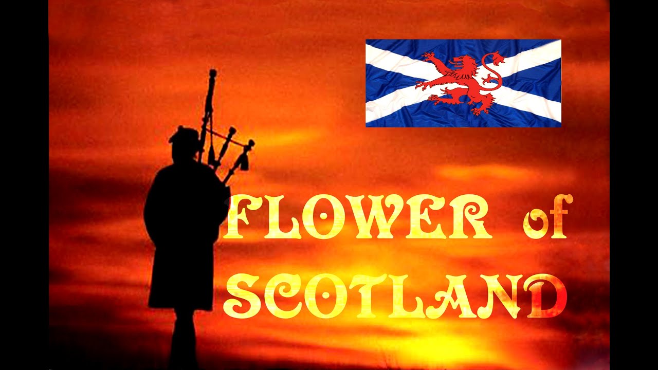 ⚡️FLOWER OF SCOTLAND ⚡️ROYAL SCOTS DRAGOON GUARDS⚡️
