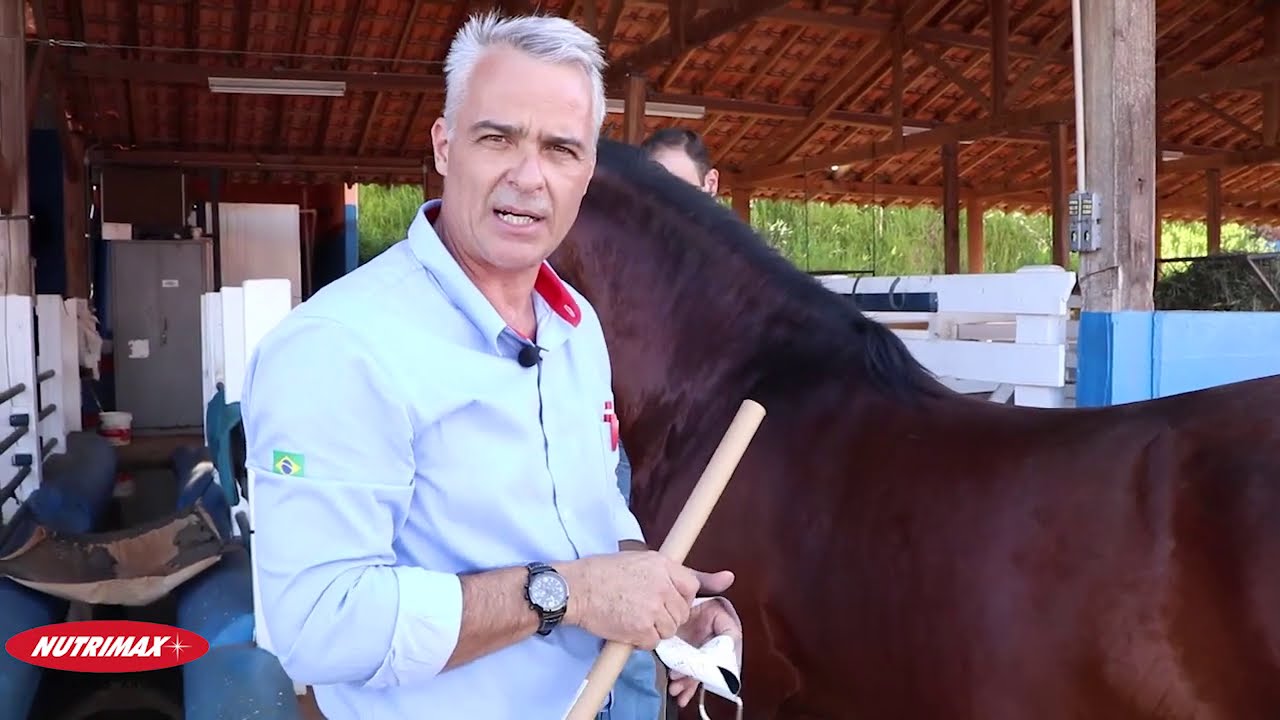 Uso da fita para medida da cernelha.