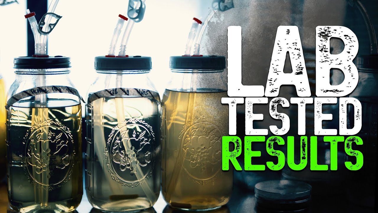 The Best Liquid Culture Recipe? Testing Honey vs. Lab-Grade Broths for Mushroom Growth