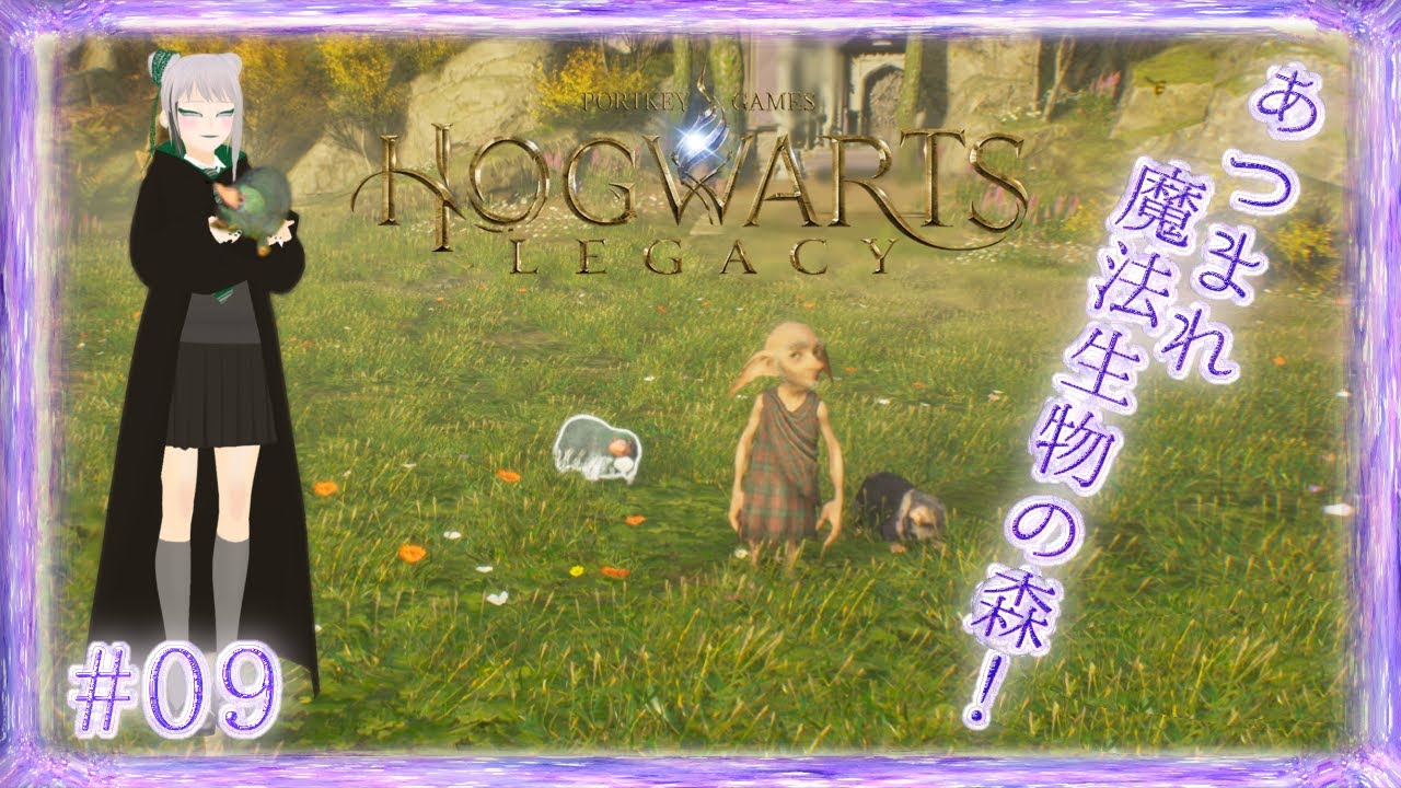 【Hogwarts Legacy/ホグワーツレガシー #09】魔法生物を保護して、世話して、素材をひん剥いて、売り飛ばす！？【完全初見/実況配信】