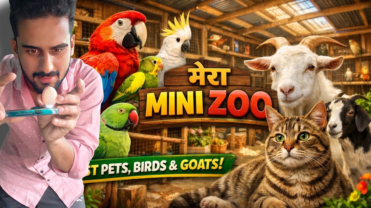 Kya Me Apne Bird's Ko Touch Kar Paunga??? | Paradise of pets Zoo vlog ❤