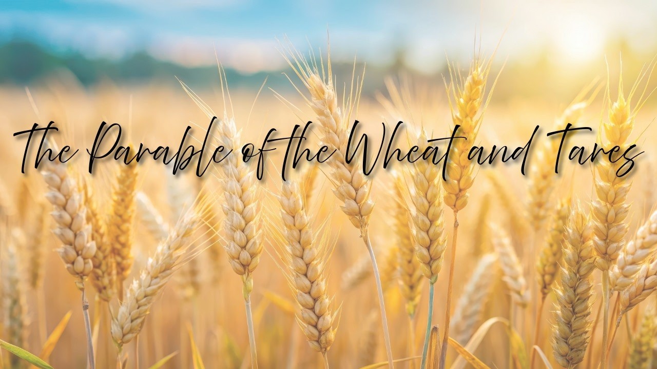 THE PARABLE OF THE WHEAT AND TARES - Pastor Carroll