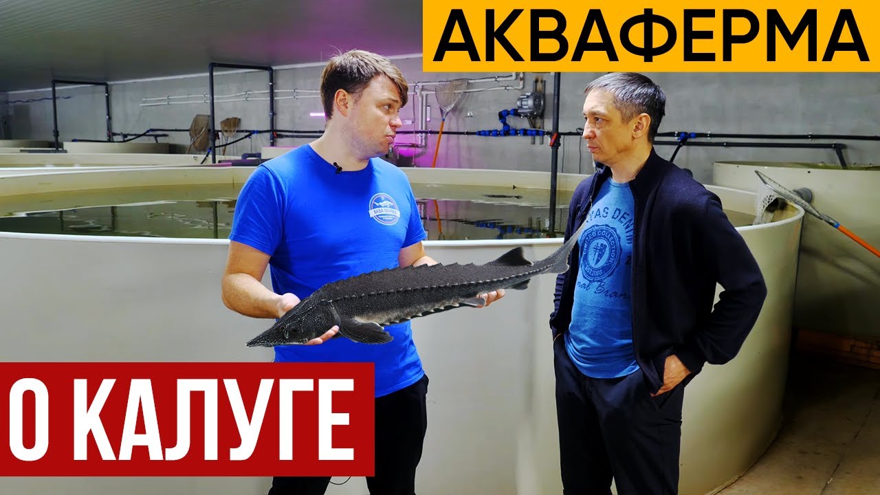 Интервью с каналом 