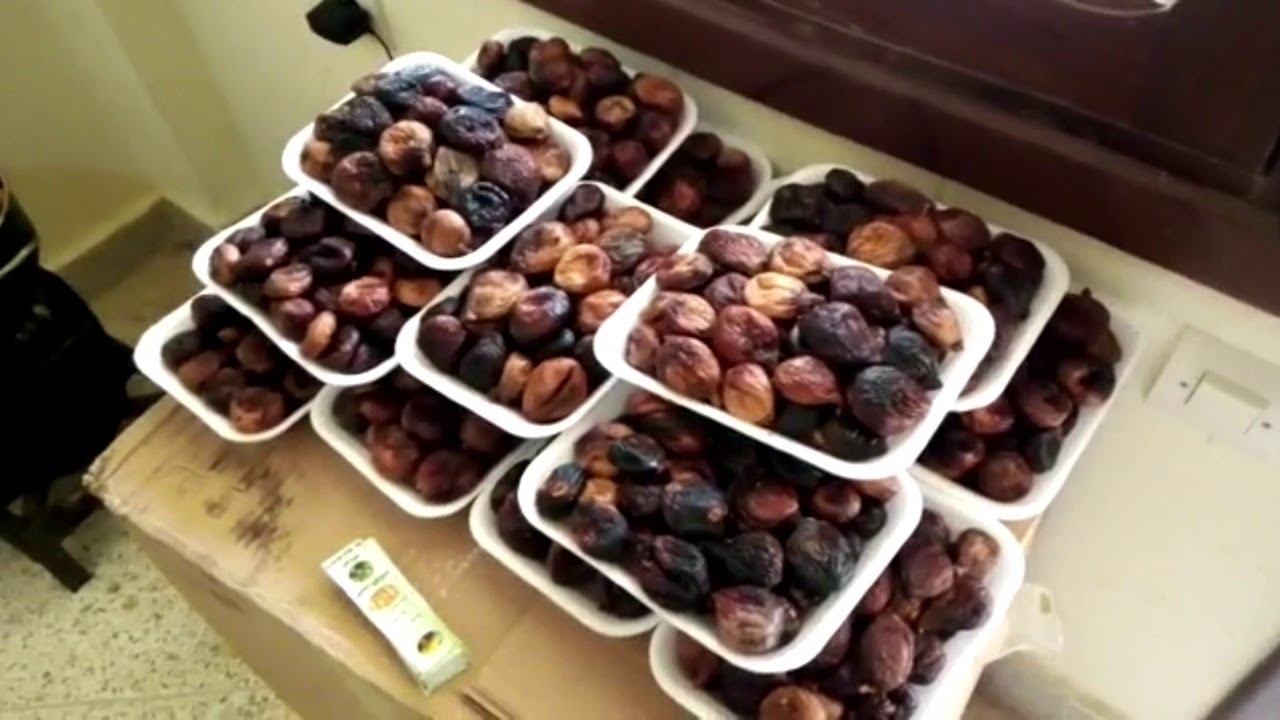 تعاونية بني وليد إقليم تاونات طريقة تصبير الشريحة أو التين المجفف بكل التفاصيل ناجح 100%🤩👍😋