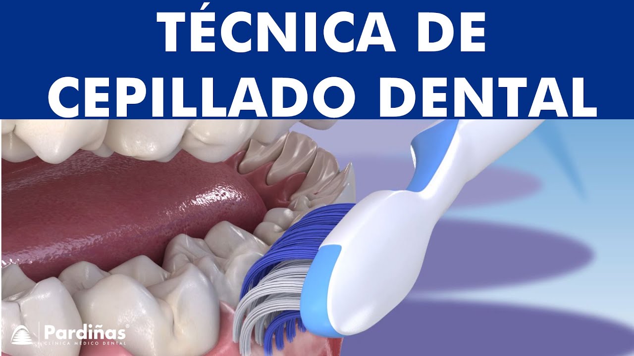 La mejor técnica para CEPILLARSE los dientes - Bass Modificada ©