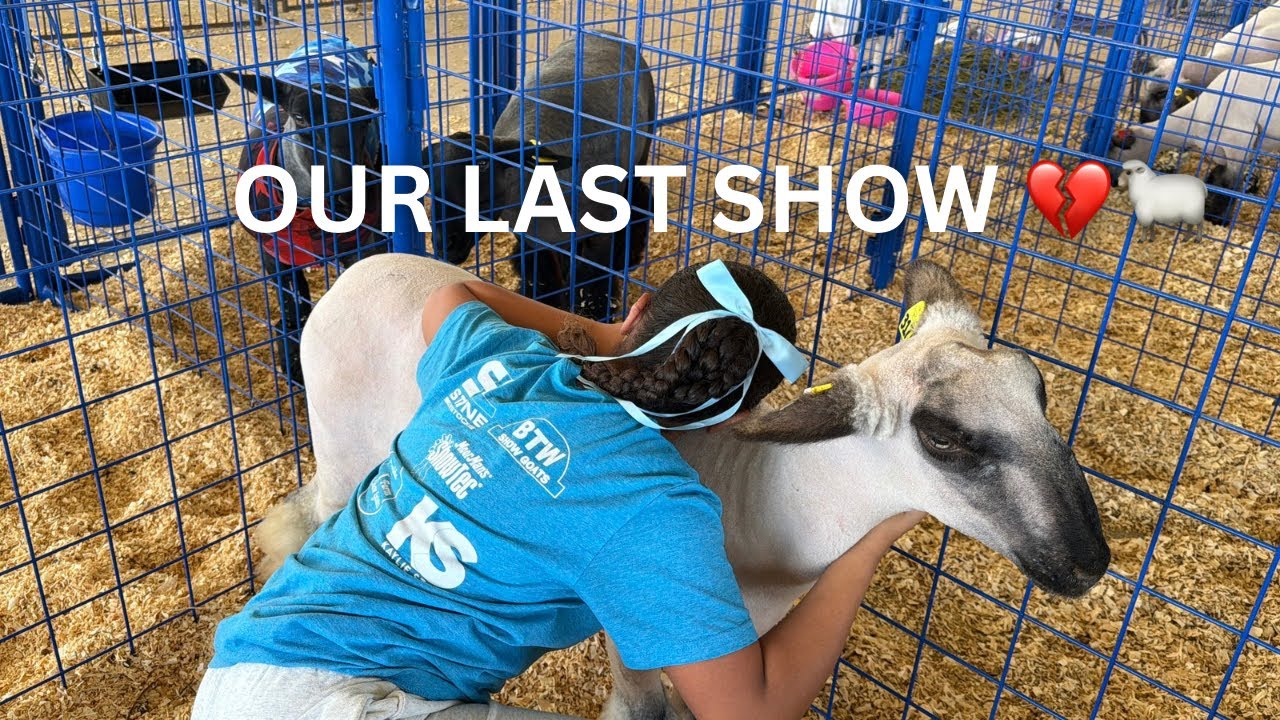 Saying Goodbye to Lily 💔🐑 | Our Final Livestock Show Weekend