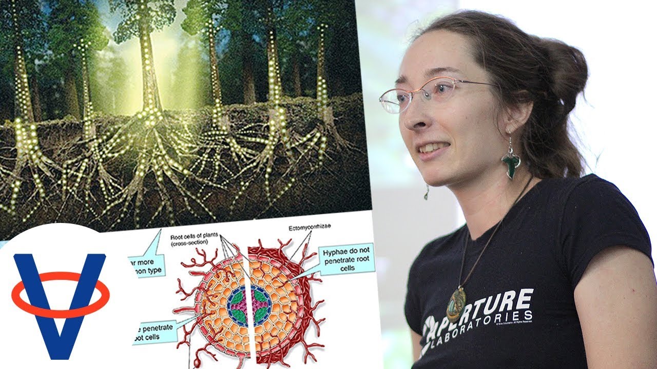 Eva Zahradníková - Vnímanie rastlín | Vedatour