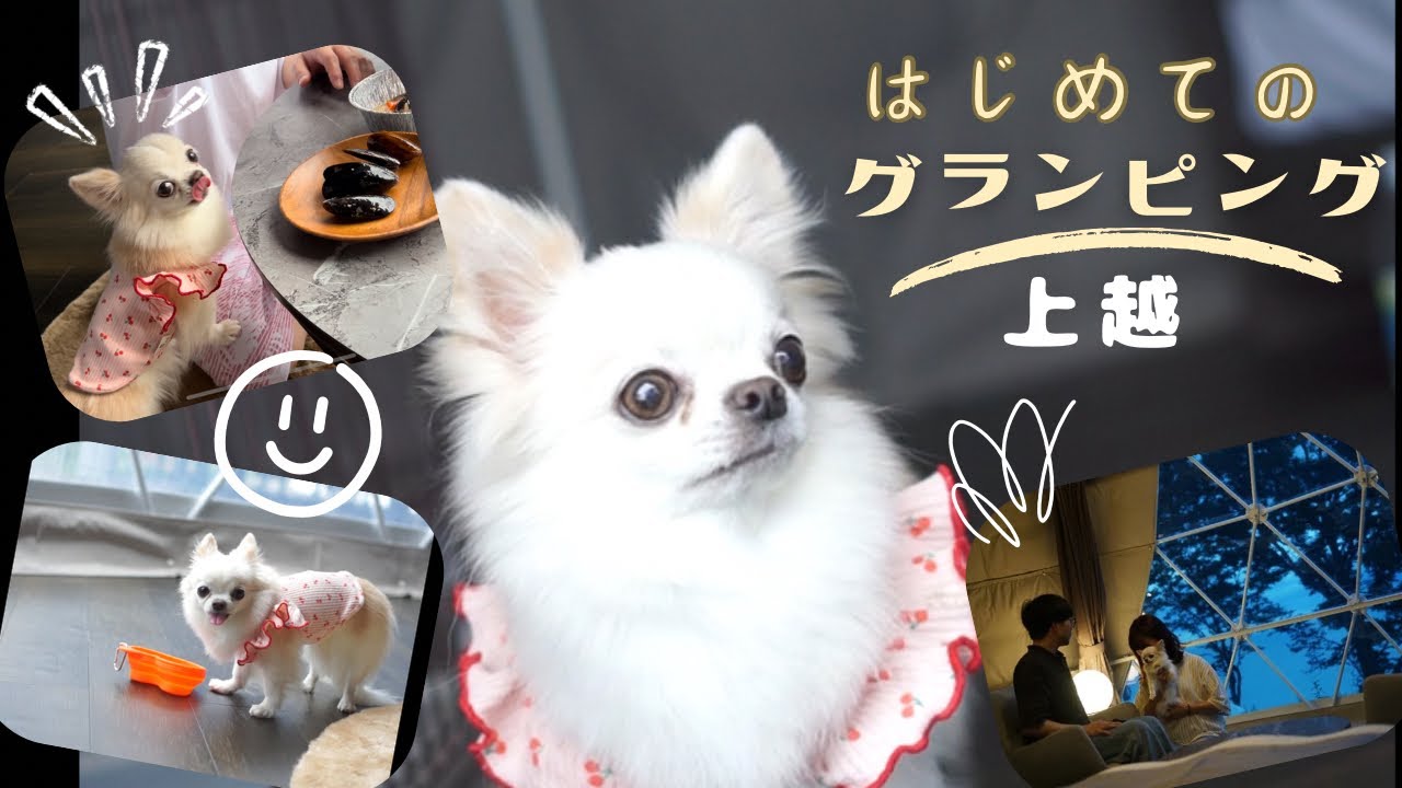 愛犬チワワと初グランピング🏕️海を見下ろすドームテント蒼天海峯